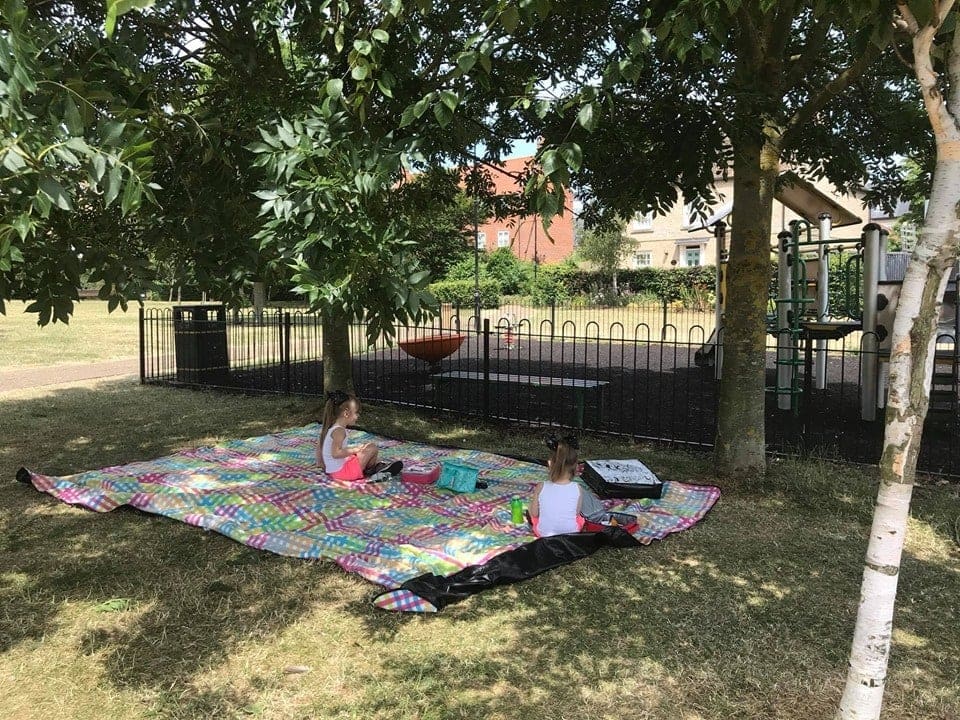 Best Picnic Mats