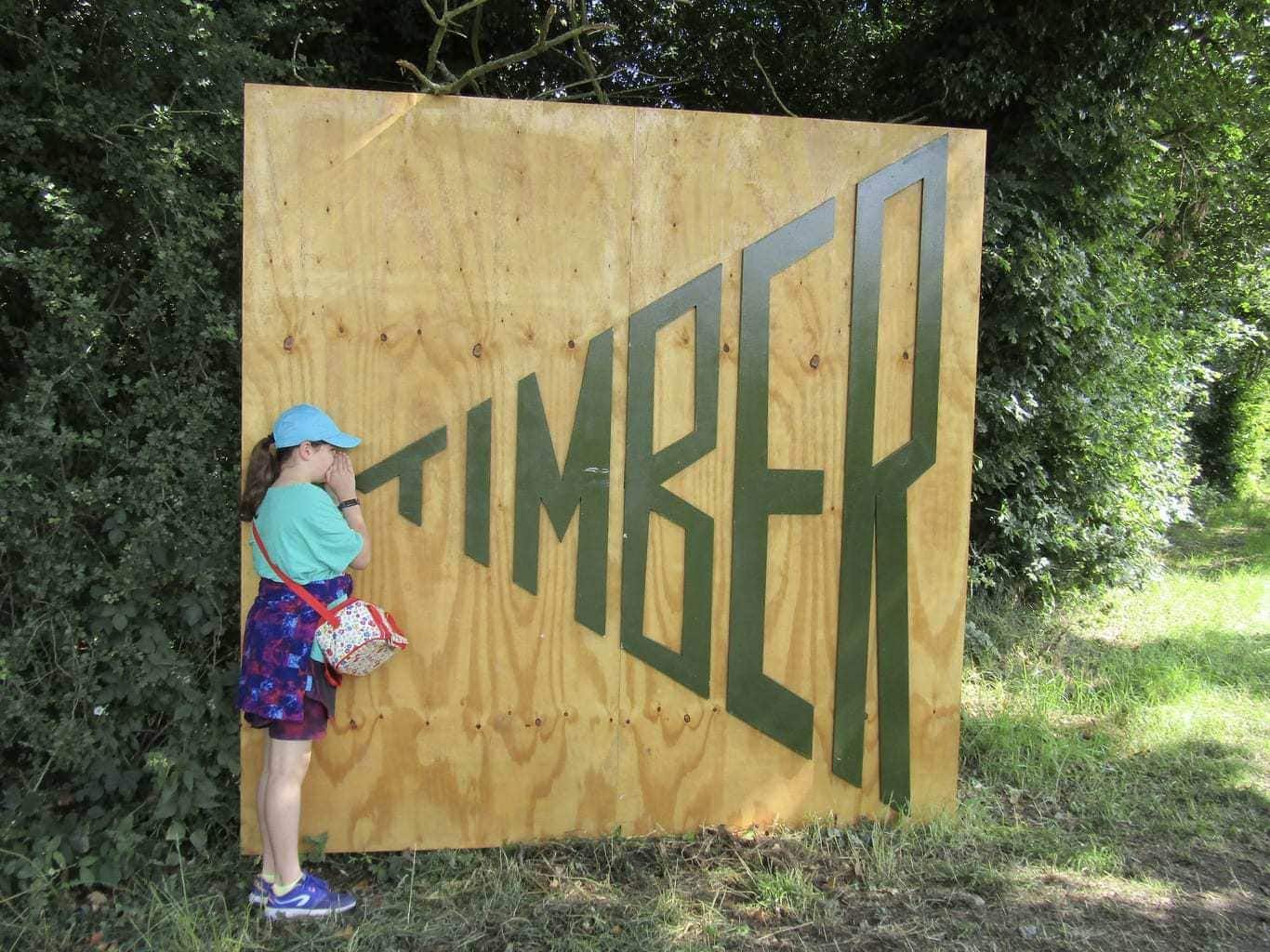 AD / Our Review of Timber Festival 2019 @Timber_Festival #FamilyFriendlyFestival