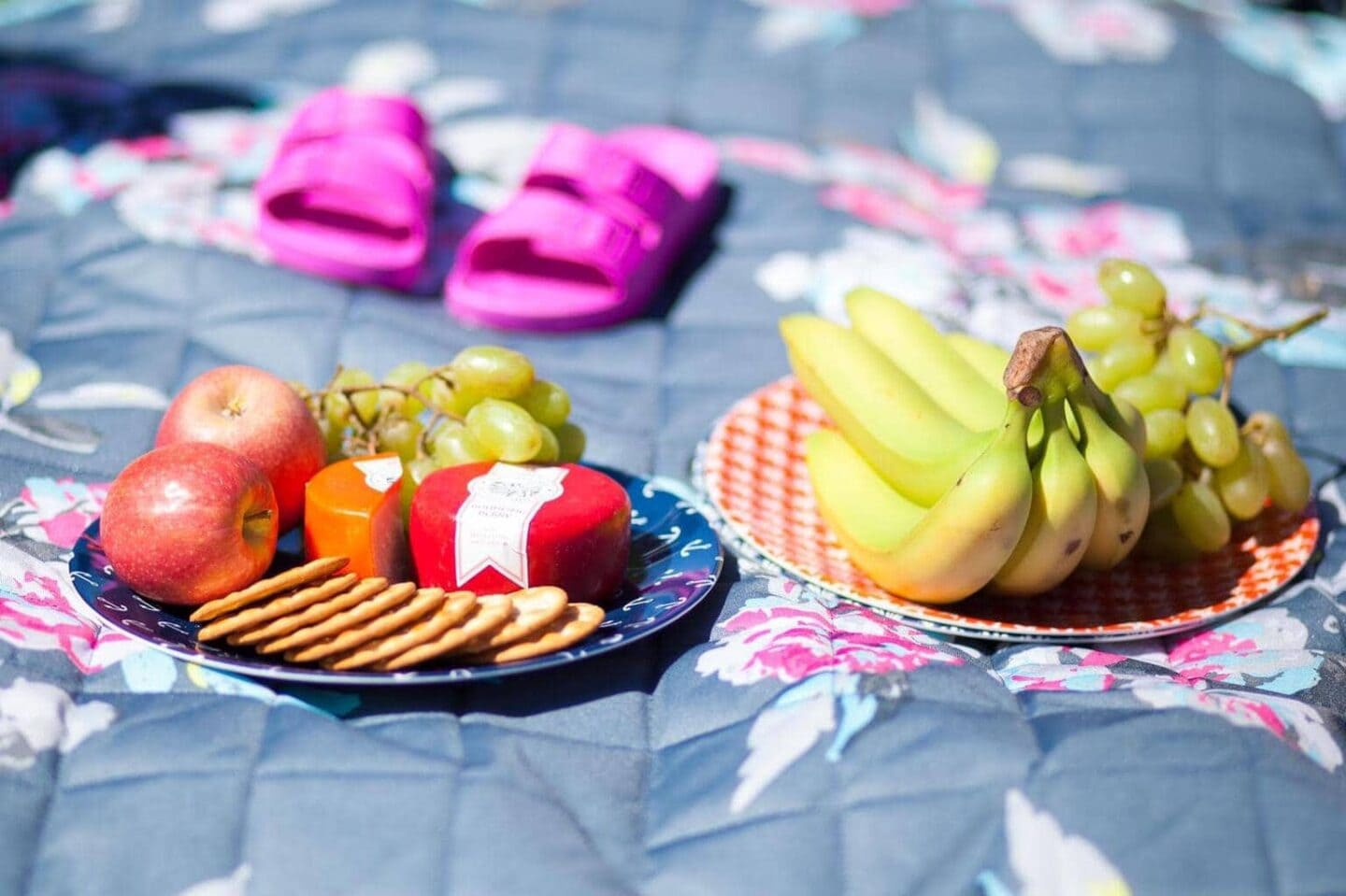 Best Picnic Mats