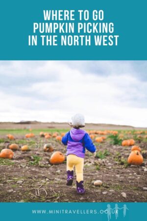 Where to go Pumpkin Picking in the North West