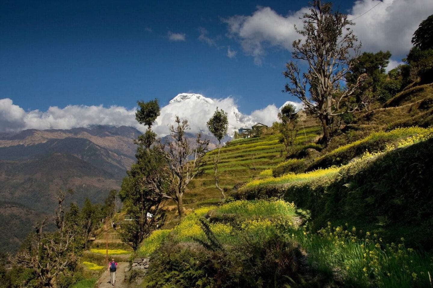 Trekking to Annapurna Base Camp - Our Honeymoon