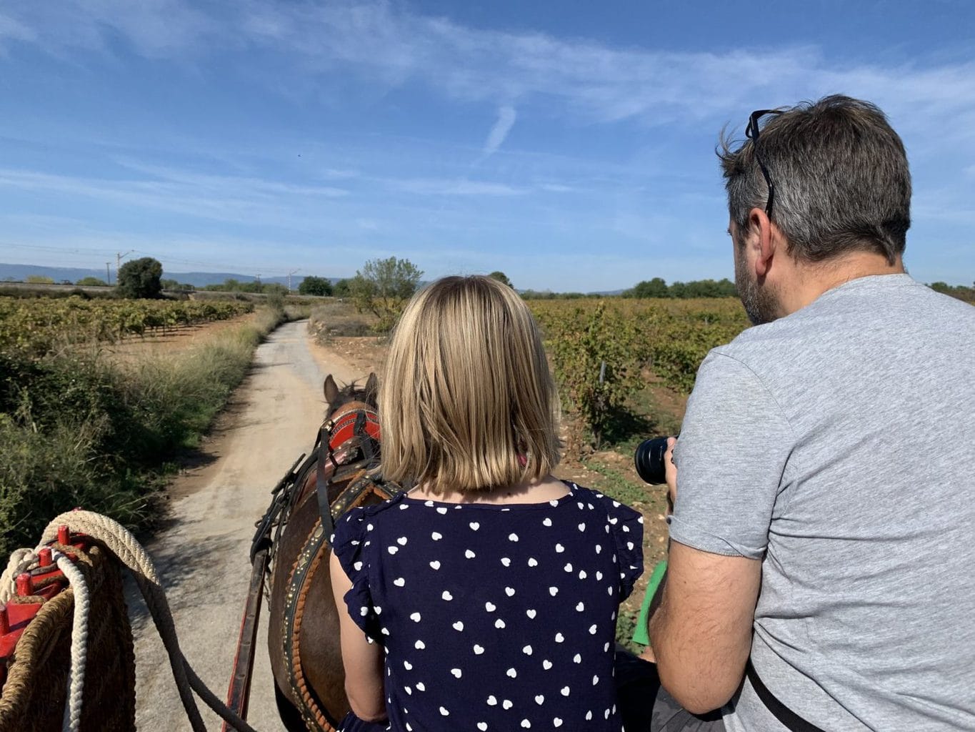 Wine tasting at a Vineyard in Spain with Kids – Adernats Cellar