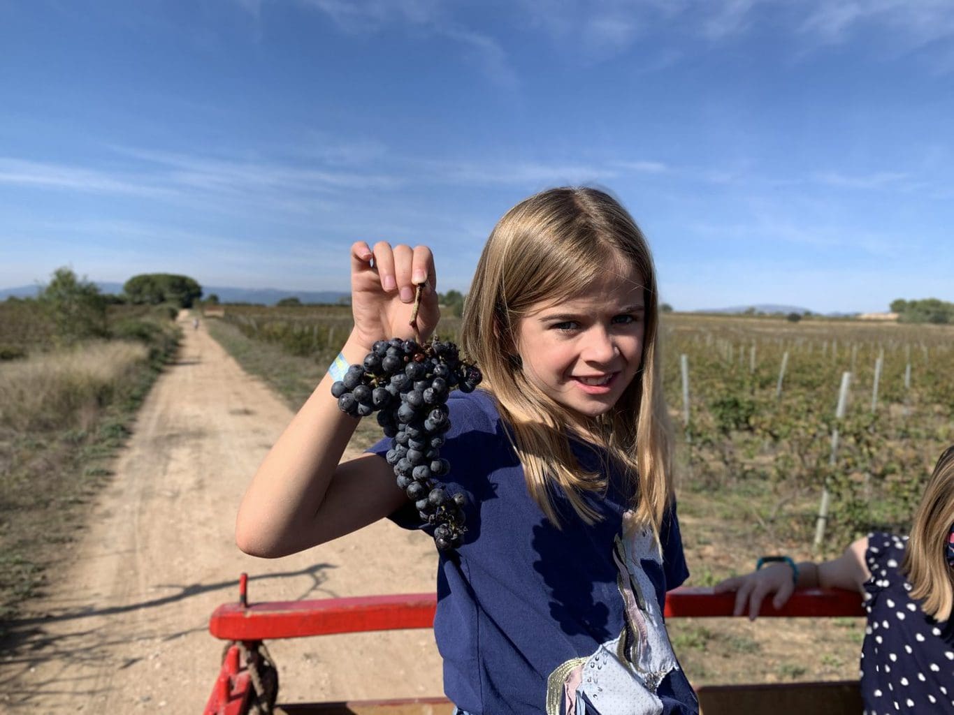 Wine tasting at a Vineyard in Spain with Kids – Adernats Cellar