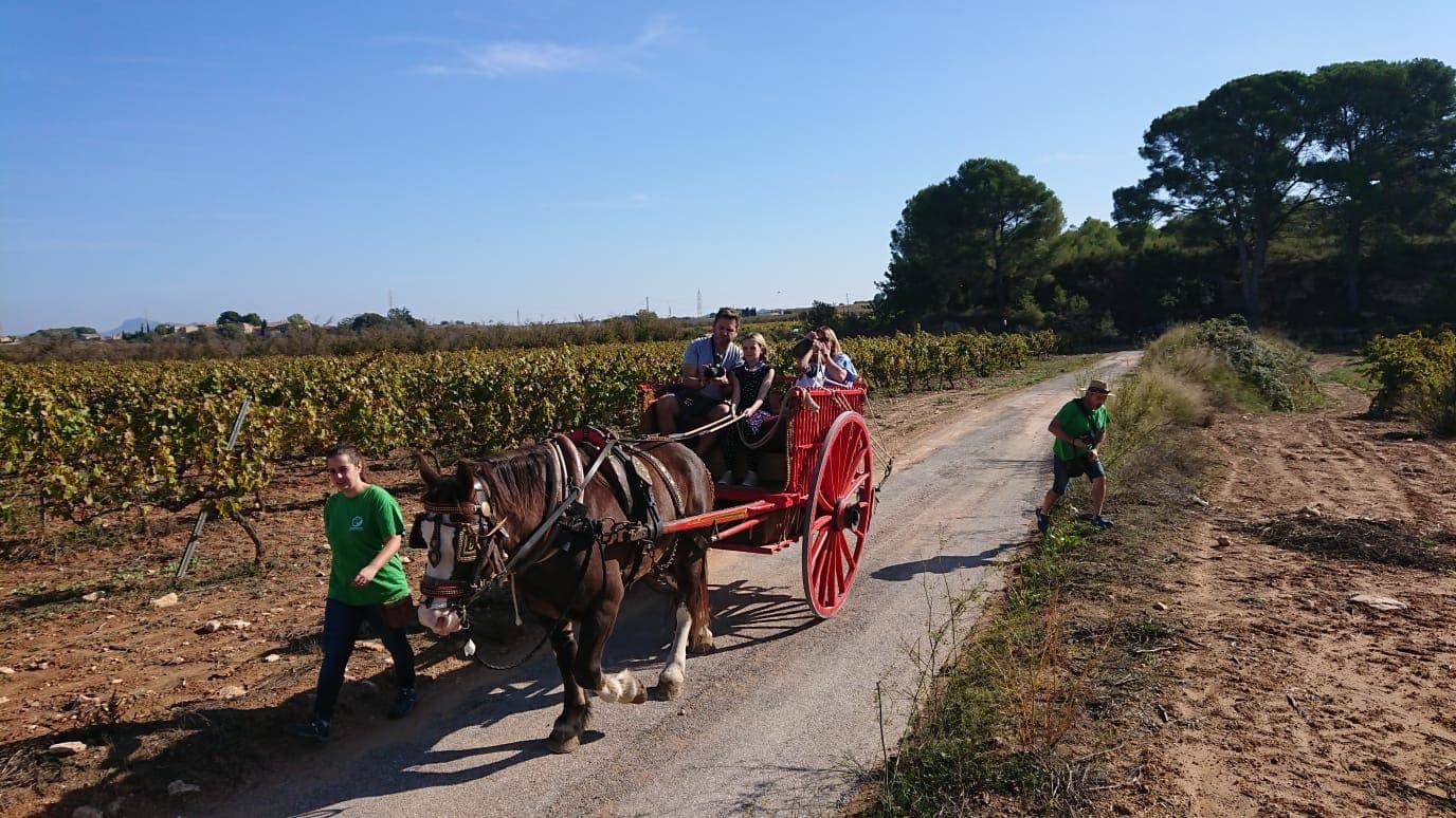 Wine tasting at a Vineyard in Spain with Kids – Adernats Cellar