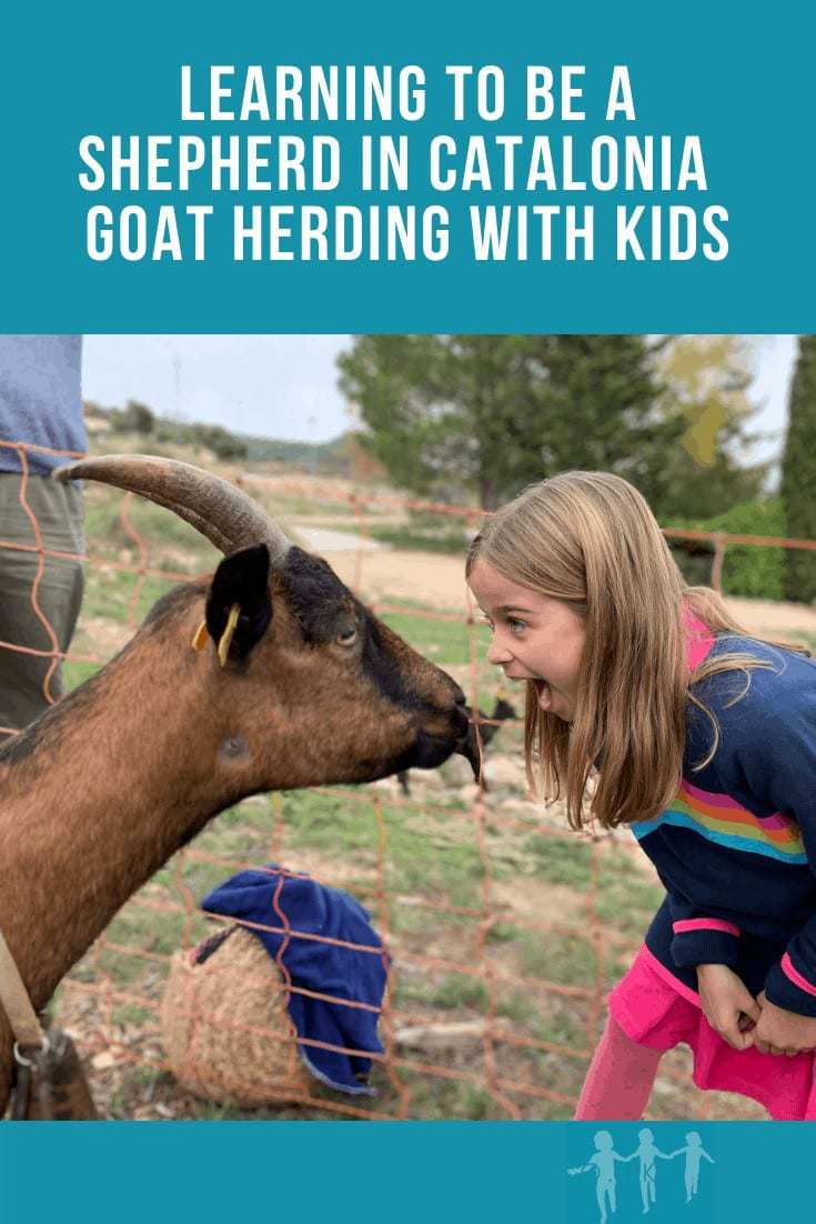 Learning to be a Shepherd in Catalonia | Goat Herding with Kids