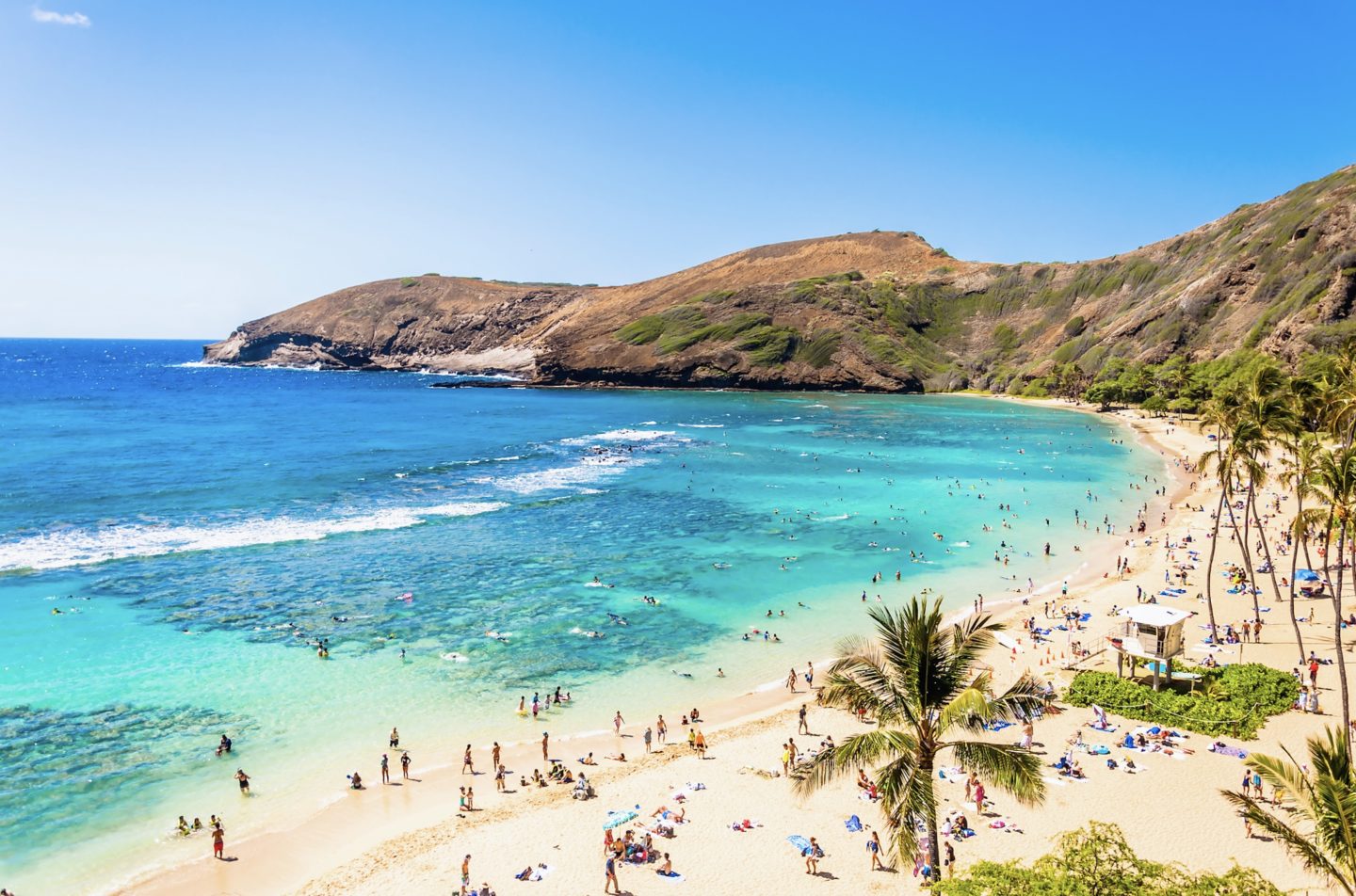 Hanauma Bay Giant Outdoor Fishbowl