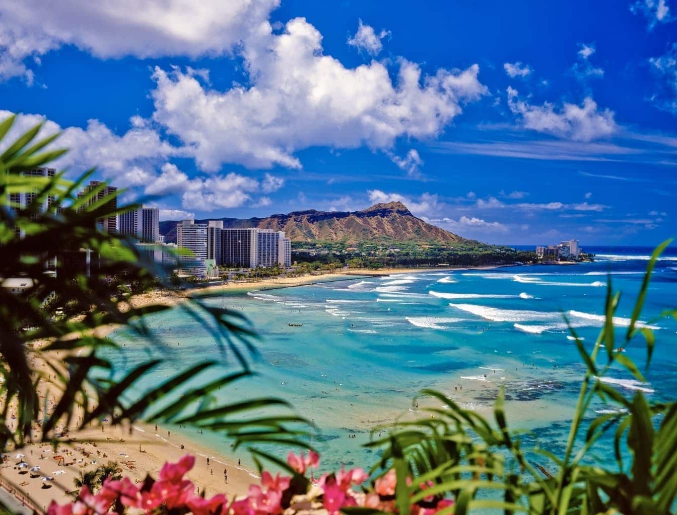 Hanauma Bay Giant Outdoor Fishbowl