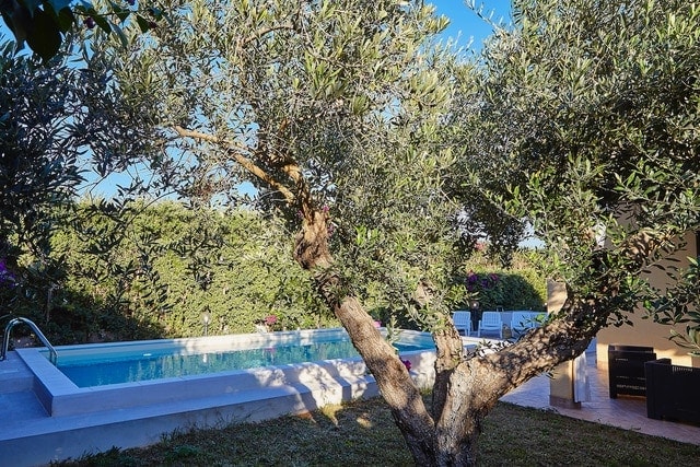 Top 5 villa rentals in Italy for families with children