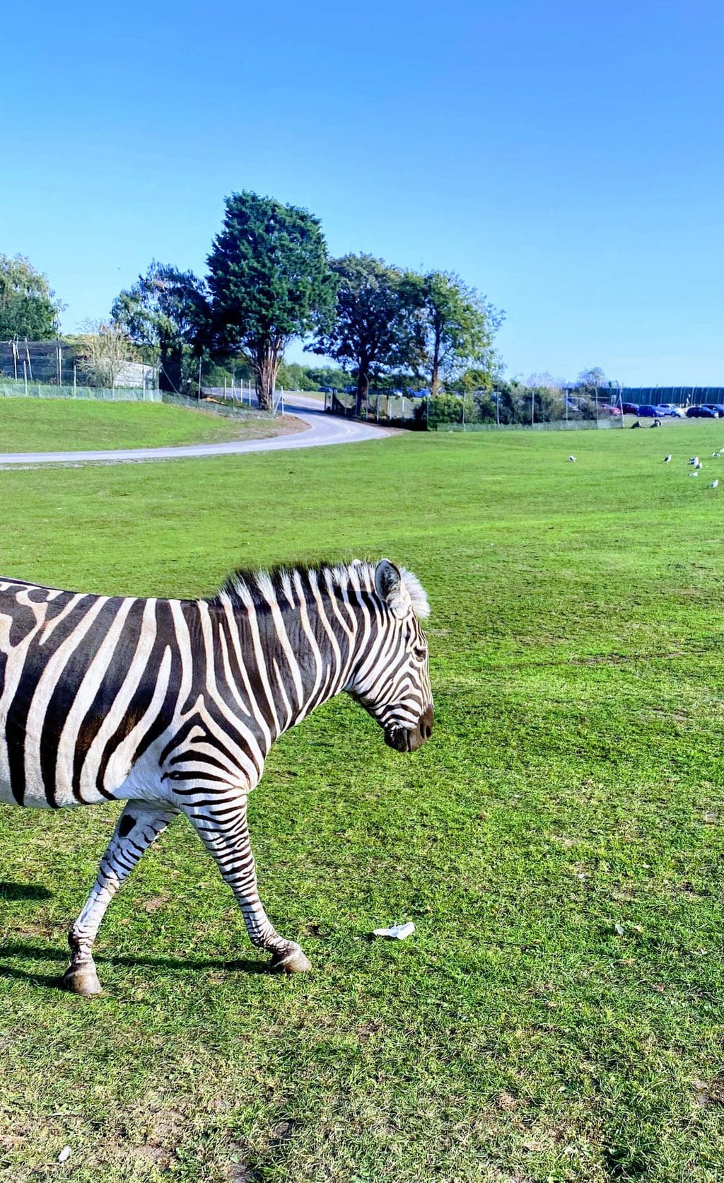 West Midland Safari Park