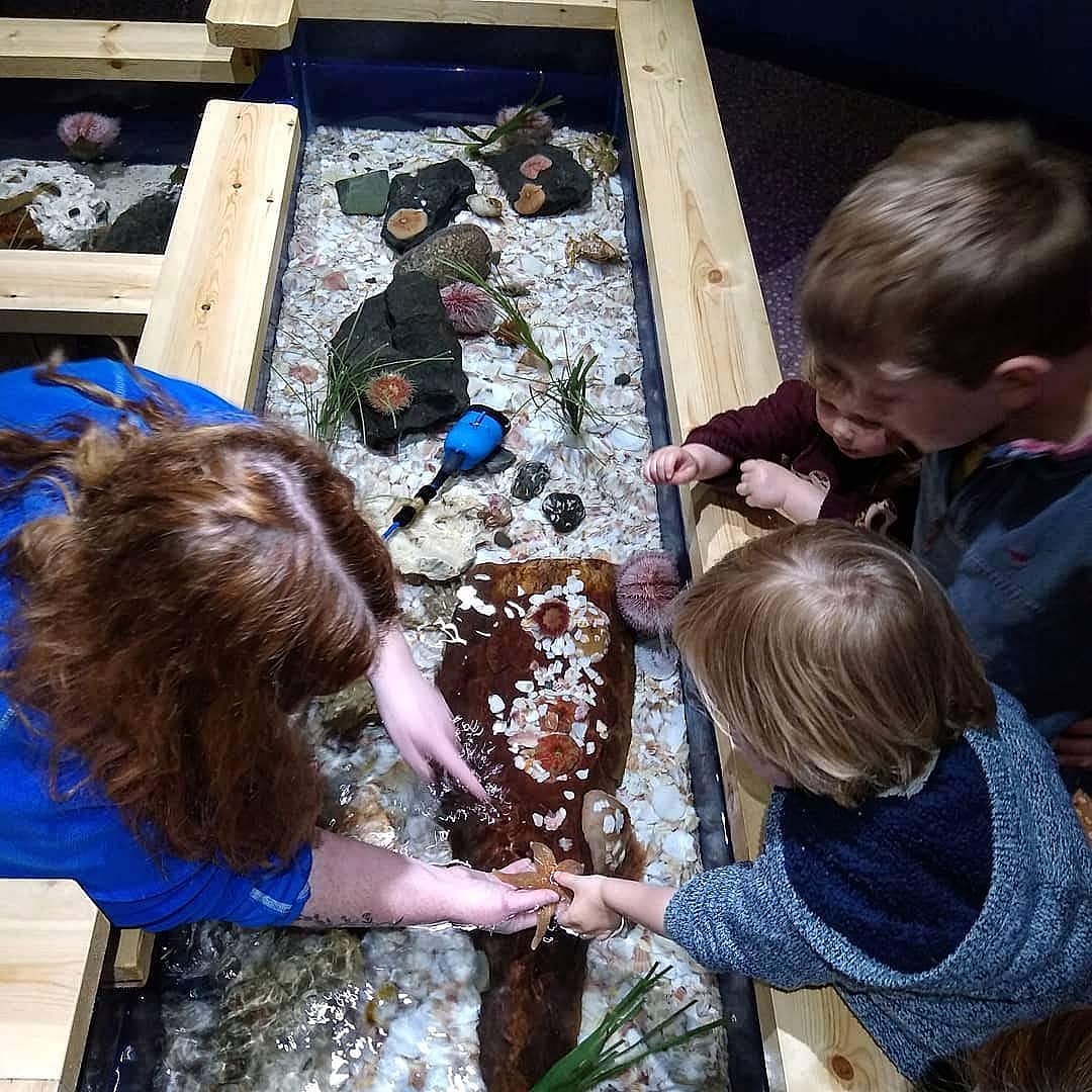 Review | SEA LIFE Loch Lomond Aquarium