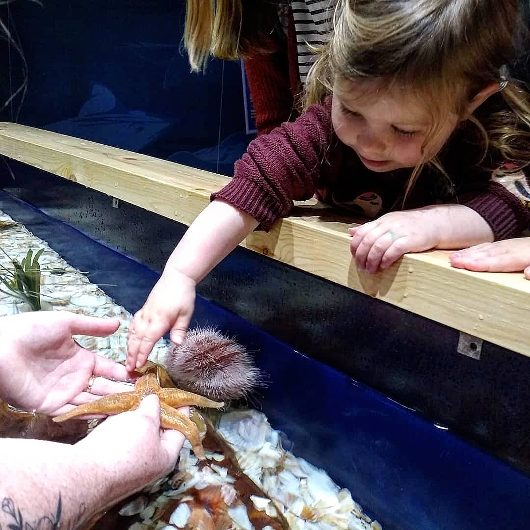 Review | SEA LIFE Loch Lomond Aquarium