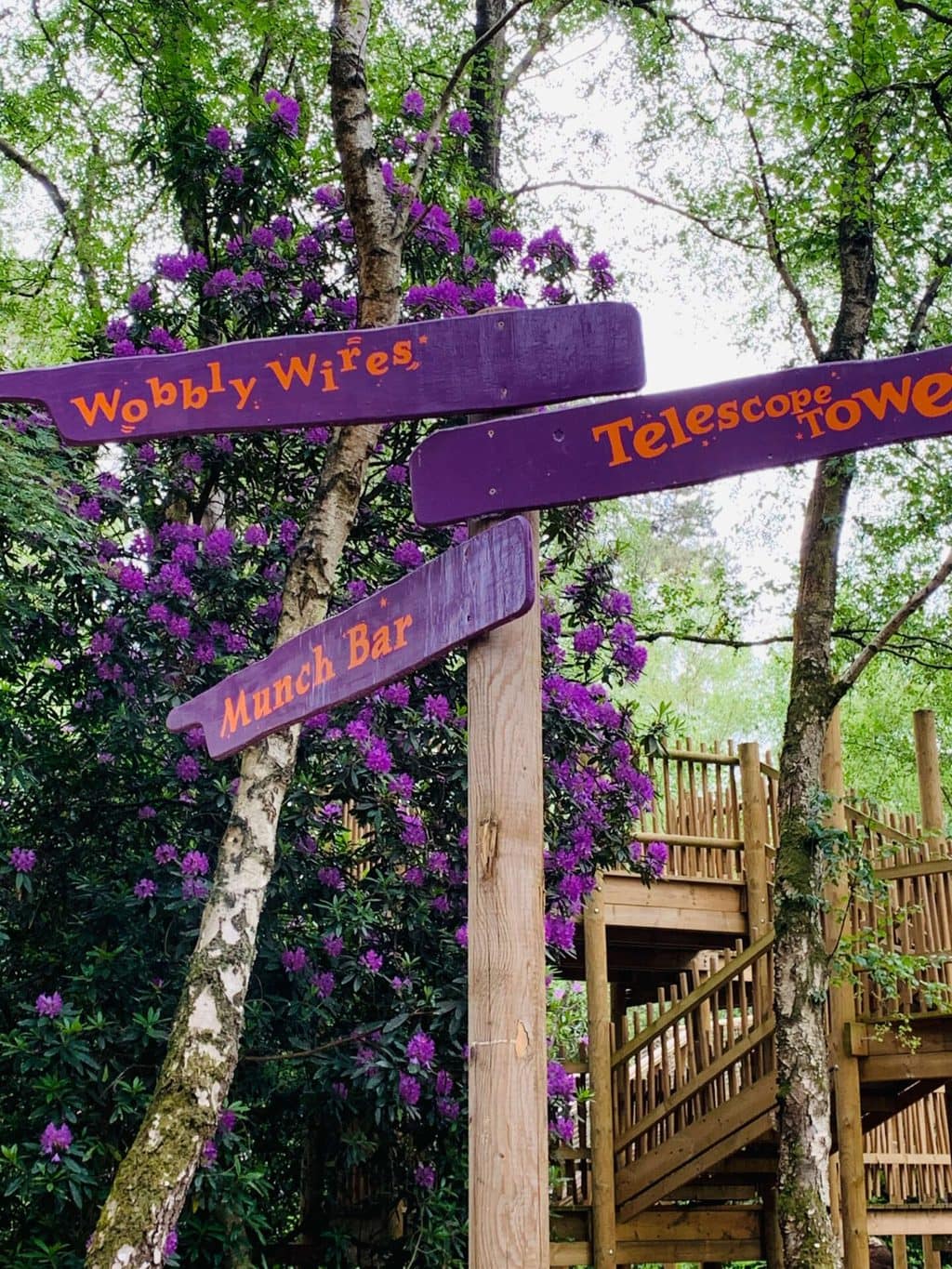 Top Tips for BeWILDerwood Cheshire