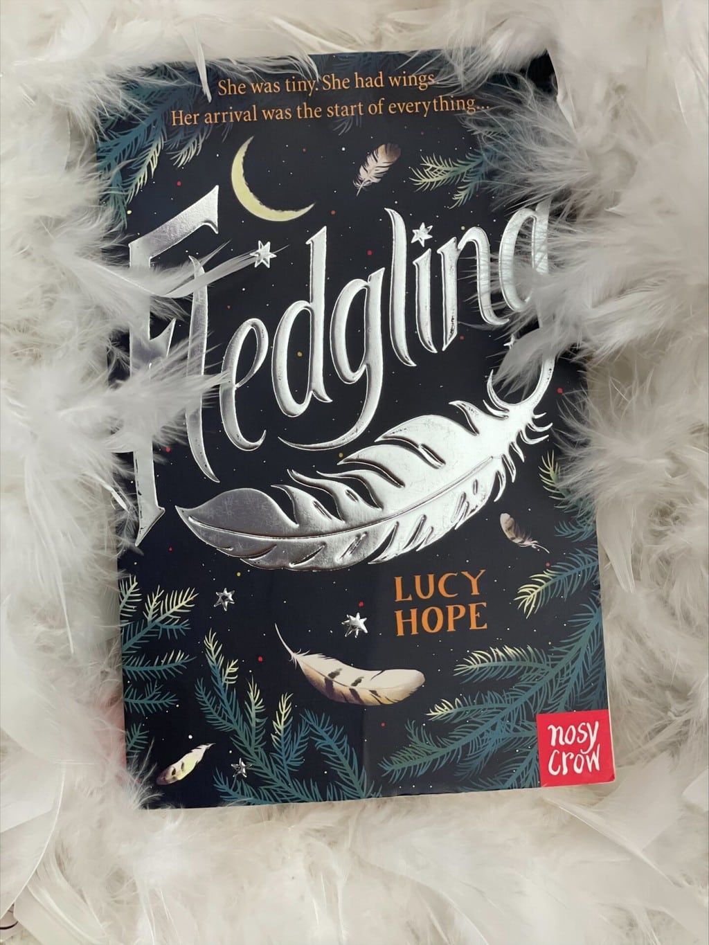 Fledgling –  Lucy Hope (author), Nosy Crow (publisher), recommended reading age: 9 plus