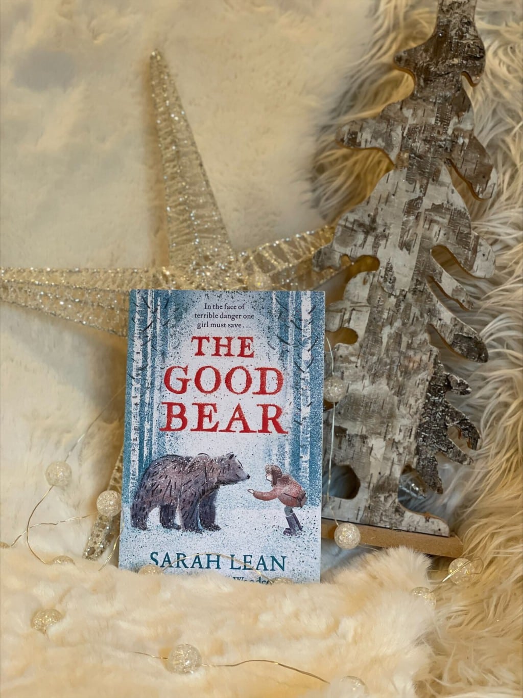 The Good Bear – Sarah Lean (author), Fiona Woodcock (illustrator), Simon & Schuster (publisher), recommended reading age: 9 plus