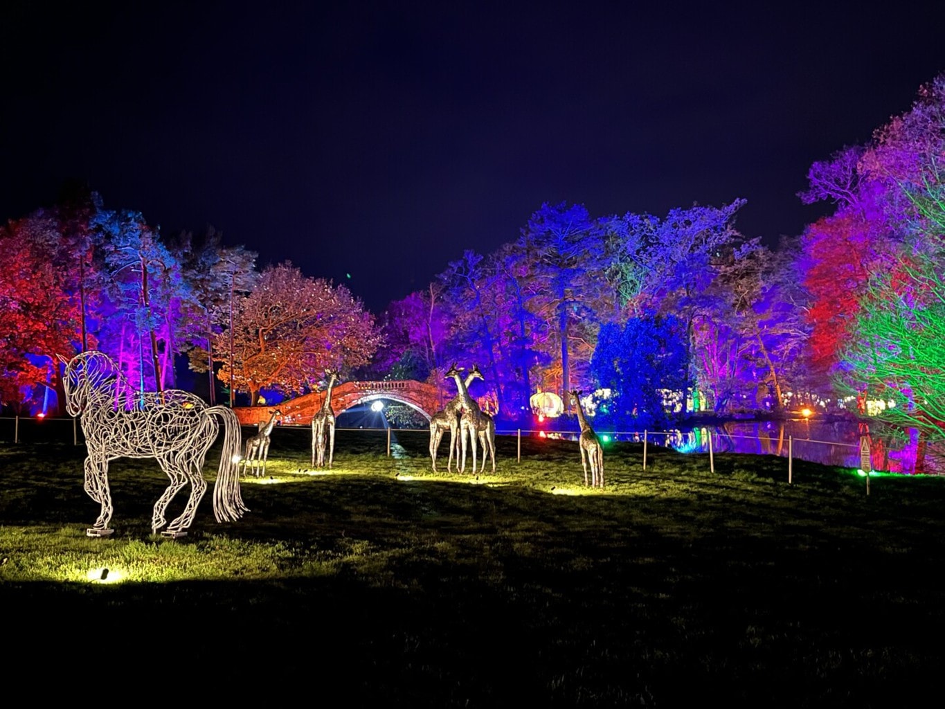 Top Tips Christmas Lights Trail at Bolesworth |Review