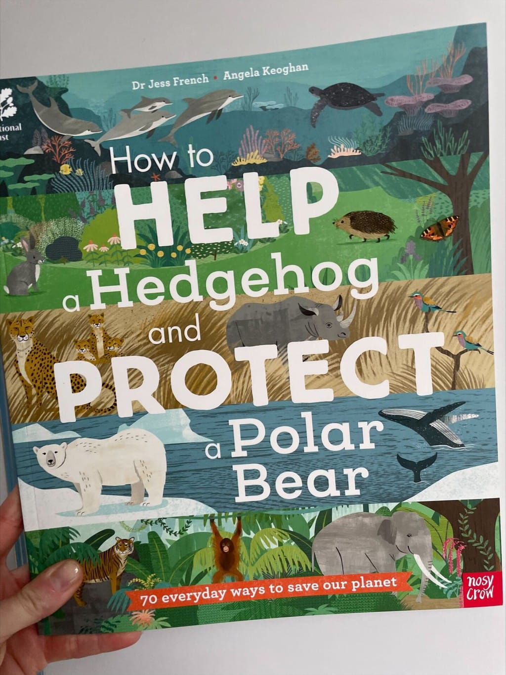 How to Help a Hedgehog and Protect a Polar Bear