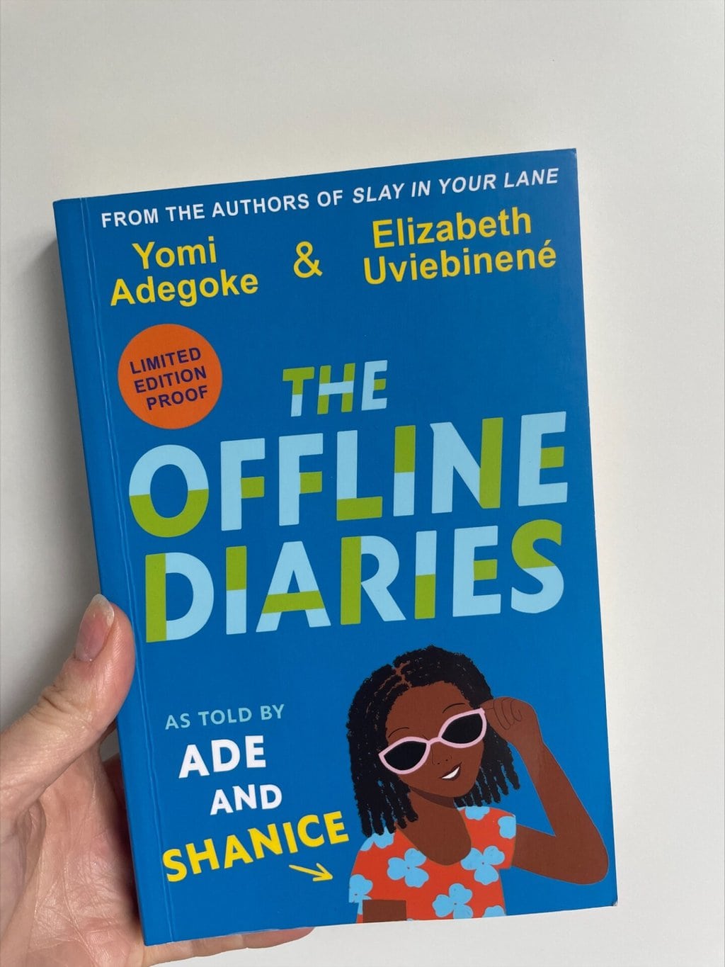 The Offline Diaries 