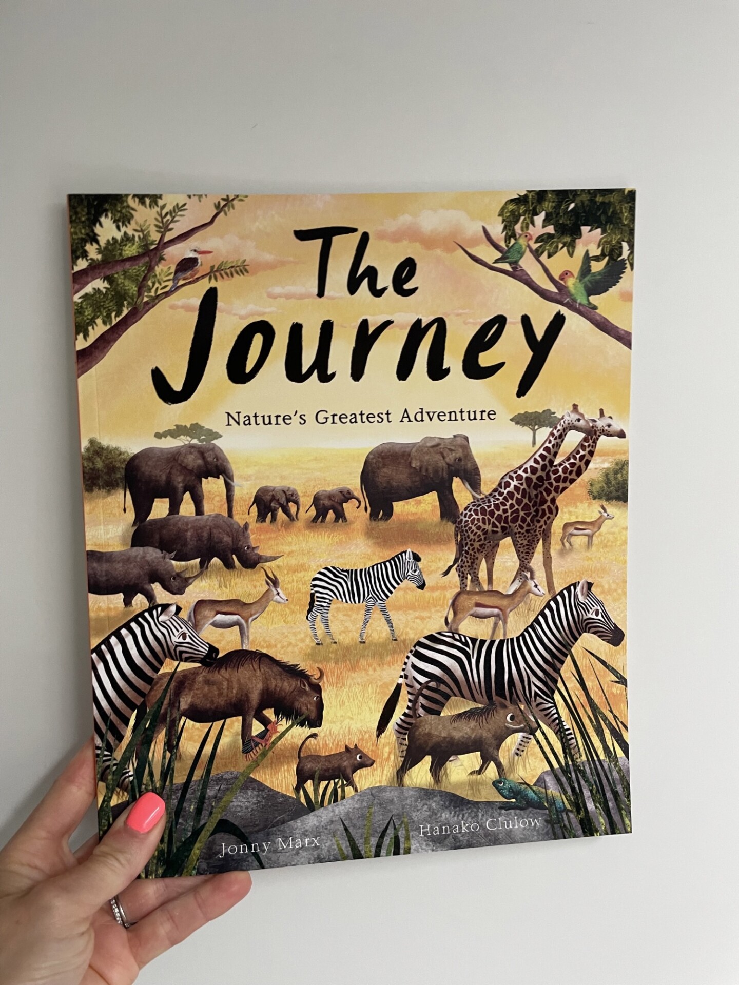 The Journey – Jonny Marx