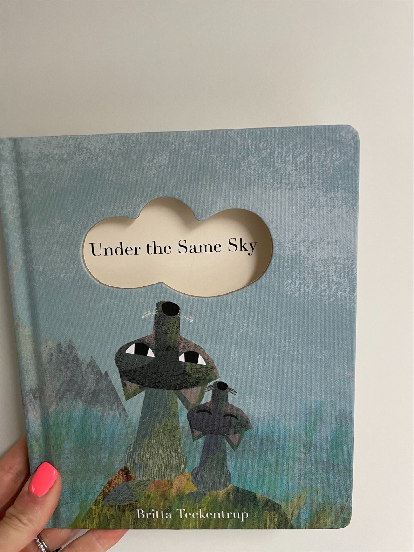 Under the Same Sky  - Britta Teckentrup 