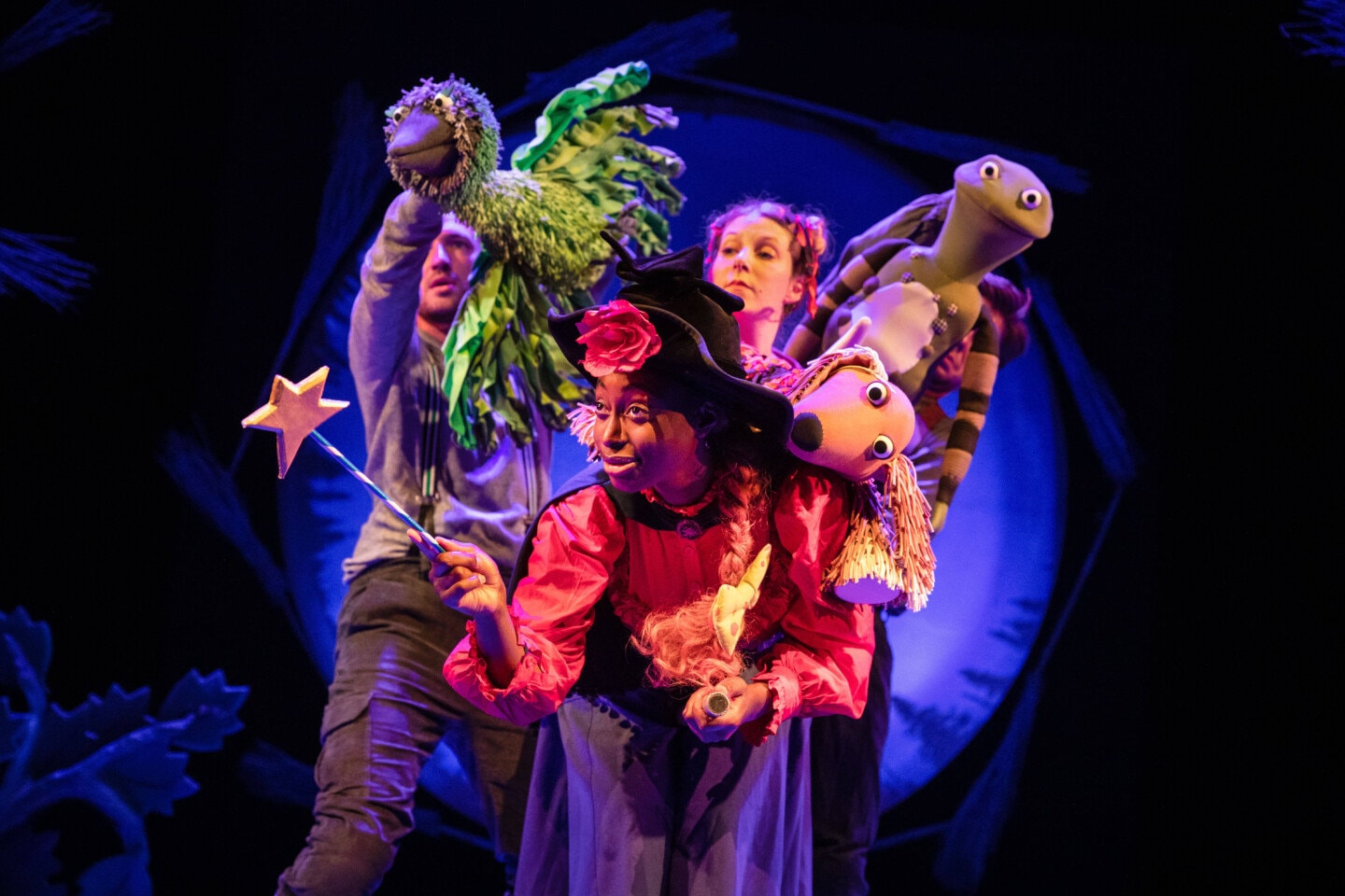 Room on the Broom on Stage | Review