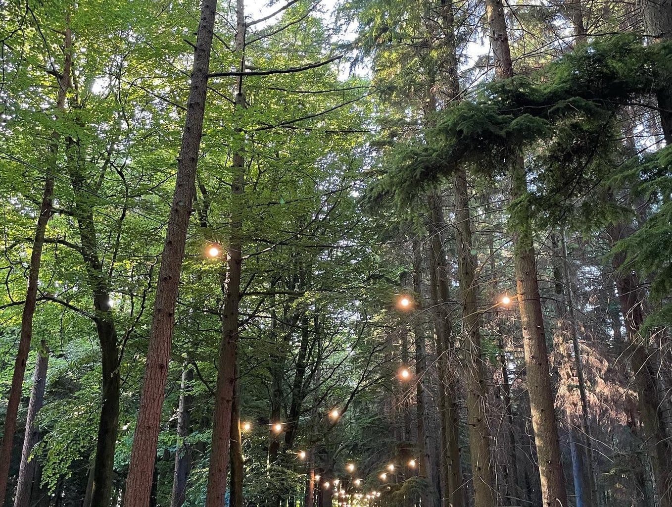 Review | Camp Kindling Festival- the Summer Camp for Families