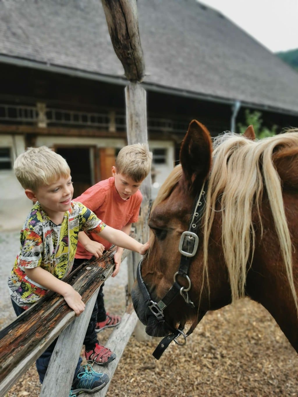 Review | The Black Forest Open Air Museum