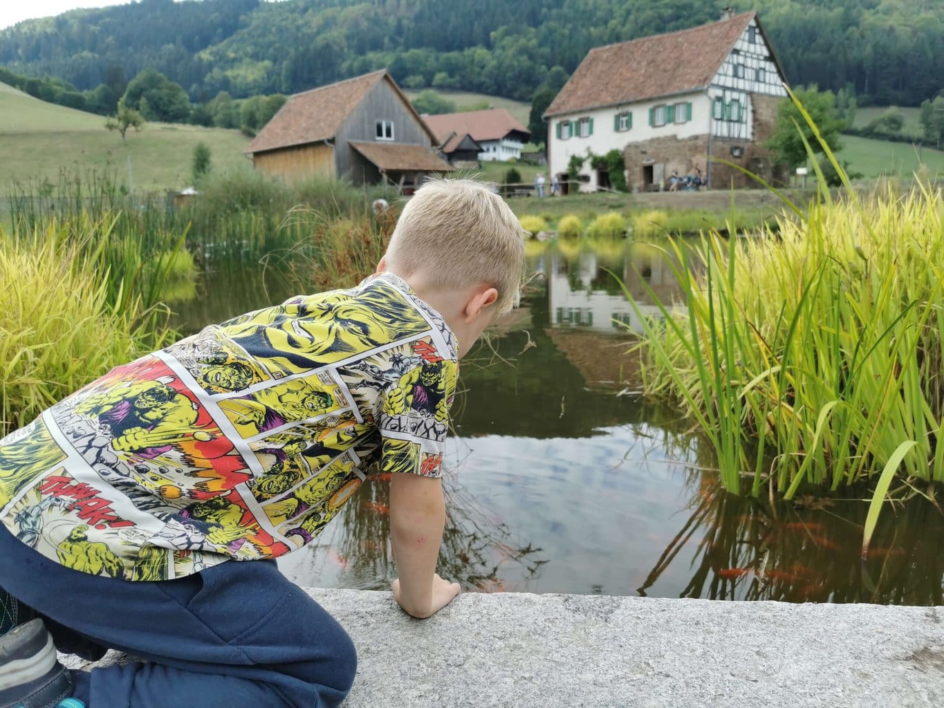 Review | The Black Forest Open Air Museum